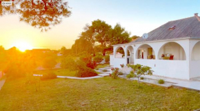 Basic Apartments - Ferienhaus Basic Croatia Vir Island